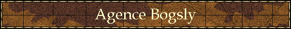 Agence Bogsly